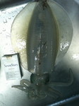 200806182212000.jpg