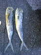 200808111629000.jpg