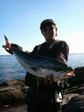 200811250133000.jpg